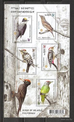 ФФ1 Беларусь 2022 Птицы