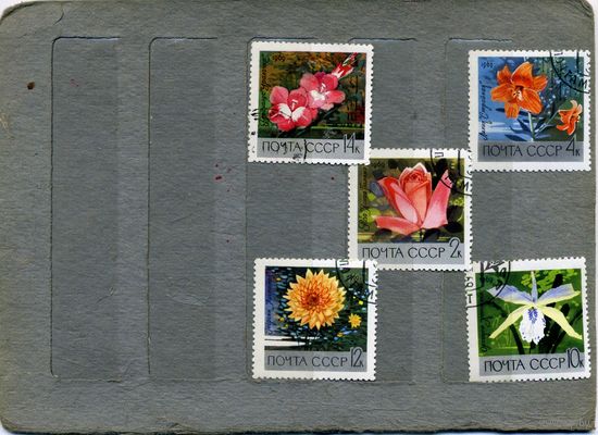 СССР, 1969, БОТ САД АН СССР  серия 5м ,