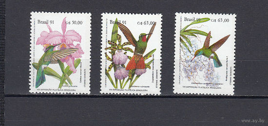 Фауна. Птицы. Бразилия. 1991. 3 марки. Michel N 2435-2437 (2,1 е).