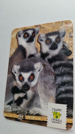 Календарик.Животные.