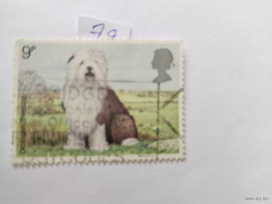 Великобритания     1979