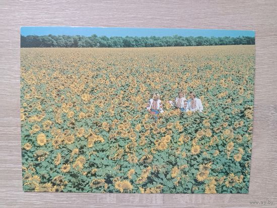 Открытка 1987 чистая