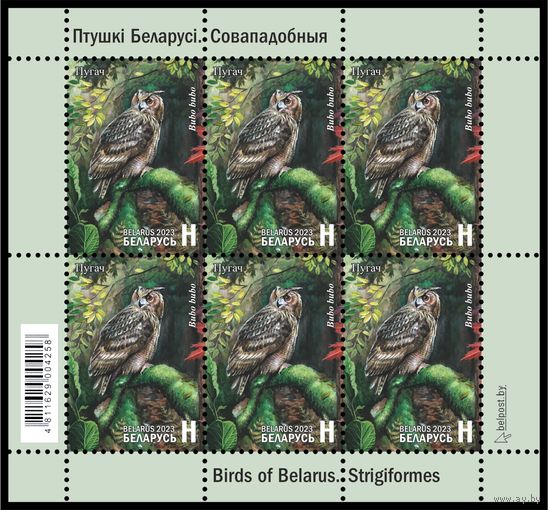 2023 БЕЛАРУСЬ Малый лист "Птицы Беларуси. Совообразные"  MNH
