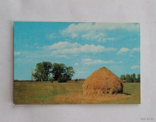 Карманный календарик 1977 г.