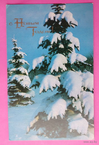 С новым годом! Чистая. 1971 года. Фото Раскина. 2527.