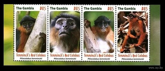 2016 Гамбия 7331II-7334IIstrip Нет WWF - Обезьяны 16,00 евро