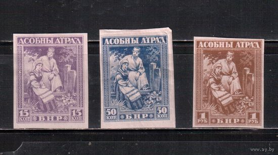 Беларусь-1920, * , Асобны Атрад , БЗЦ , 3 марки