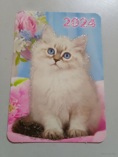 Карманный календарик. Котик. 2024 год