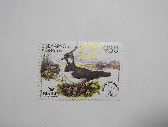 Птица года. Чибис. 1м. 2006г.