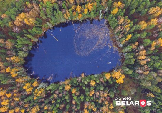 Планета Беларусь 2022 посткроссинг озеро Окунёво Глубокский район