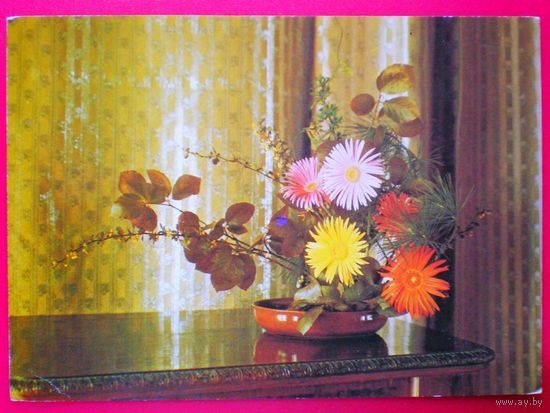 Zagadzinski (загаджинский) , икебана, 1975, (подписана, ) Польша т. 50000 экз.