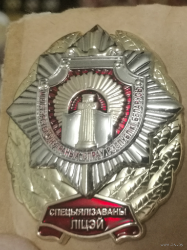 Специализированный лицей МВД