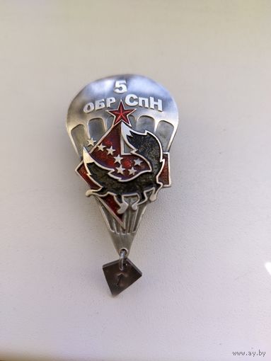 Прыжковой знак 5 ОБрСпН
