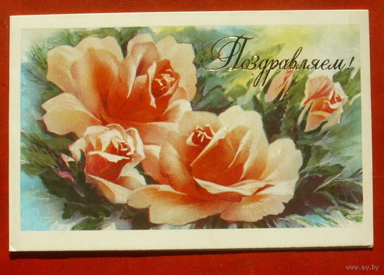 Поздравляем! Чистая. Двойная. 1988 года. Горелов. 1685.