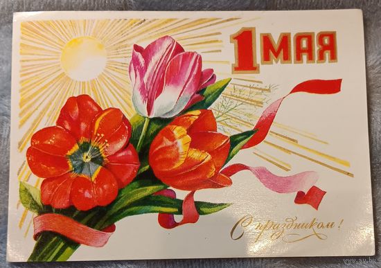 Поздравительная открытка. Худ. Т. Панченко. 1979 г. Чистая.