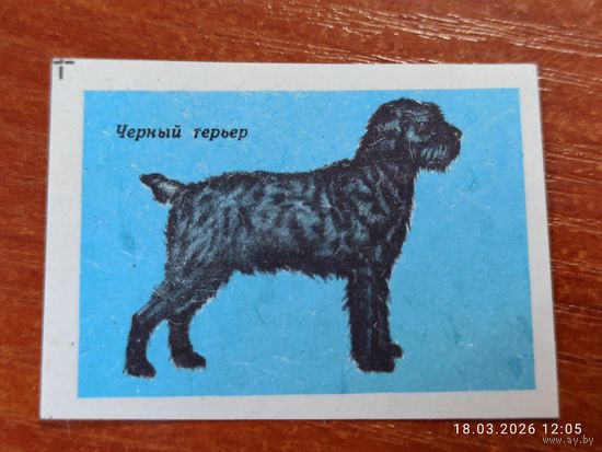 Спичечная этикетка Черный терьер