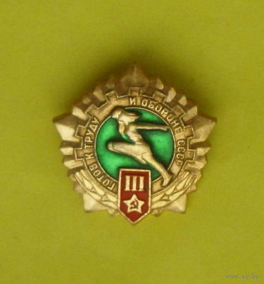 ГТО 3 степень. *88.