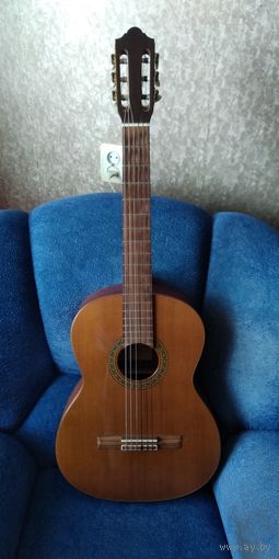 Гитара Strunal 4755