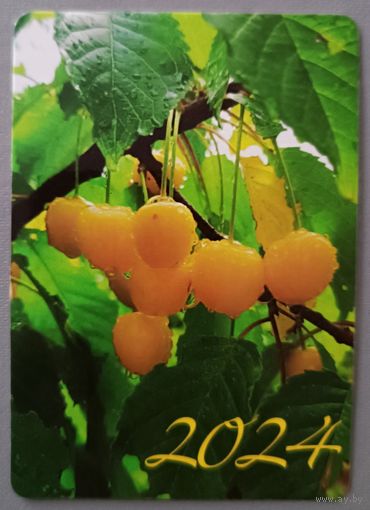 Сладкая черешня. Календарик, глянец, 2024