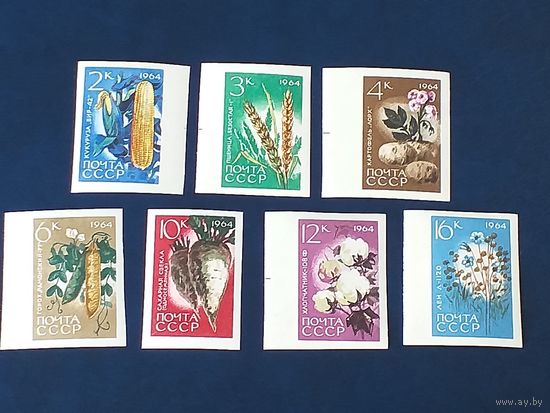 1964, июнь. Сельскохозяйственные культуры СССР