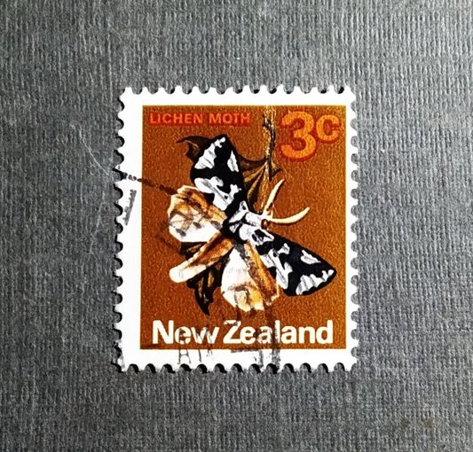 Марка Новая Зеландия 1970 год Бабочка