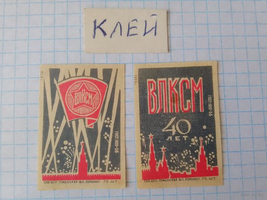 Спичечные этикетки ф.Гомель. 40 лет ВЛКСМ. 1958 год