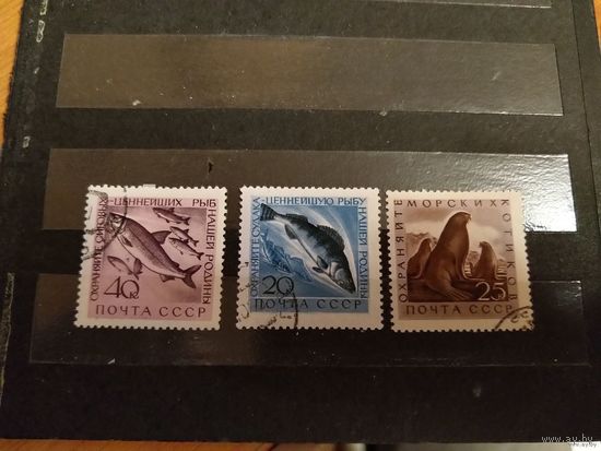 1960 СССР Загорский 2382-2384 фауна гашеная полная серия клей одна с наклейкой (с-7)