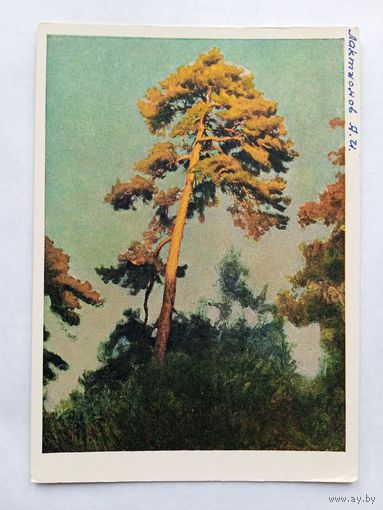 1957. Лактионов. Последний луч