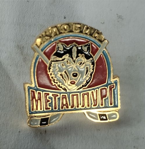 ХК Металлург Жлобин
