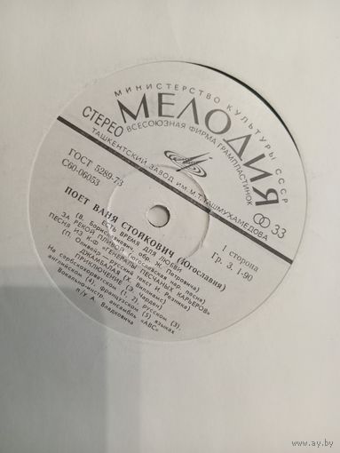 Виниловая пластинка