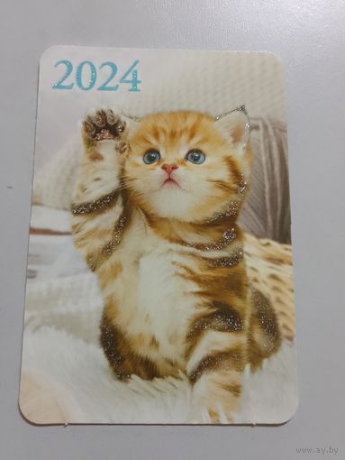 Карманный календарик. Котик. 2024 год