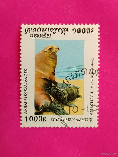 Камбоджа. Фауна. ( 1 марка ) 1996 года. 2-20.