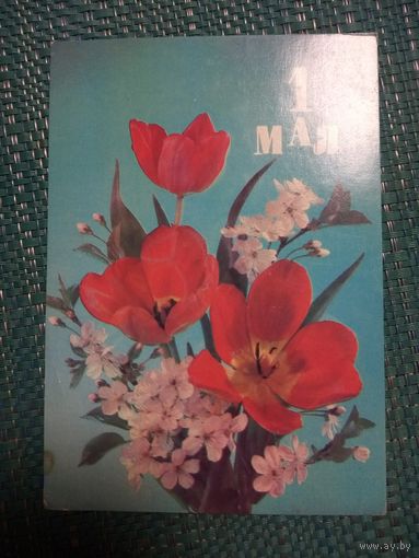 Открытка. 1 мая! Фото И. Дергилева.1989 год