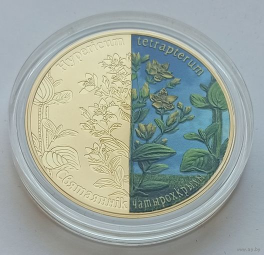 Зверобой четырехкрылый, 20 рублей 2013, серебро, Ag 925, #BelCoinArt