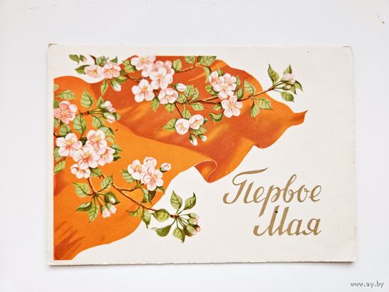 Сазонова 1959 1 мая