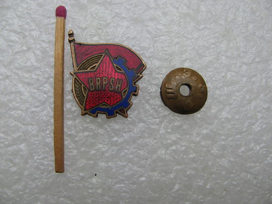 Знак. Албания. Комсомол. Союз трудовой молодежи. BRPSH. тяжелый, винт.