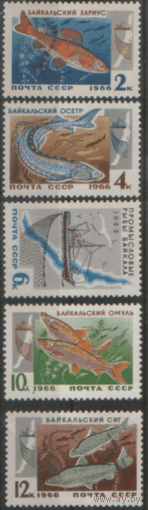 Заг. 3313/17. 1966. Промысловые рыбы Байкала. ЧиСт.