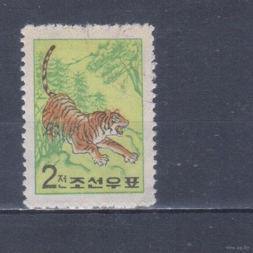 [2364] Корея,КНДР 1962. Фауна.Дикие кошки.Тигр. Гашеная марка.
