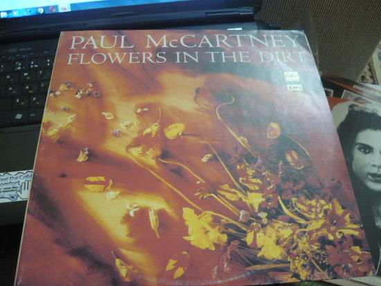 RAUL McCARTNEY