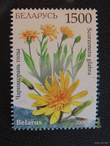 Беларусь 2009 год.
