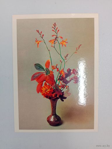 Открытка 1983