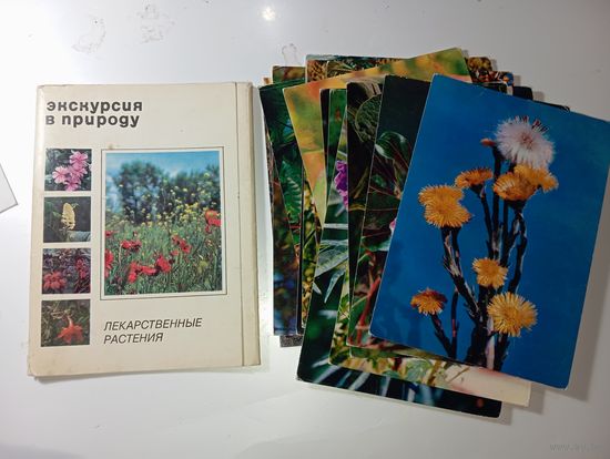 Набор открыток . Лекарственные растения .