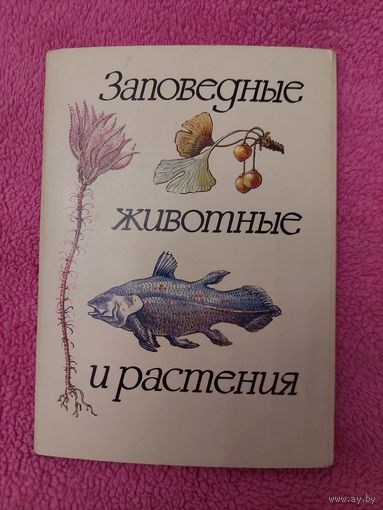 Набор открыток