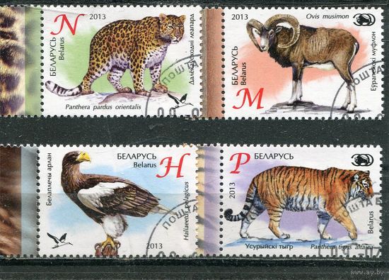 Беларусь 2013.. Зоопарки Беларуси