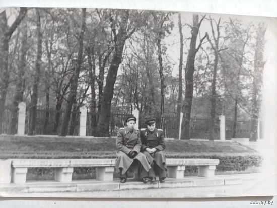 Фото в коллекцию