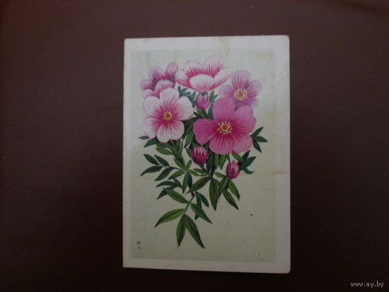 Почтовая карточка.СССР.1987г.Чистая.