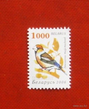 Беларусь. Стандарт. ( 1 марка ) 2006 года. 8-8.