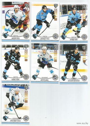 "Динамо" Минск / КХЛ 1 сезон / базовый сет 7штук. / Коллекция "SeReal Карточки КХЛ 2024-2025. Неделя Звезд Хоккея".