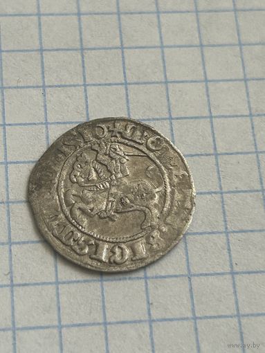 Полугрош 1510 года