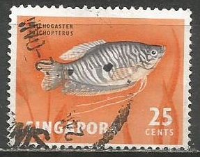 Сингапур. Рыбы. Пятнистый гурами. 1962г. Mi#63.